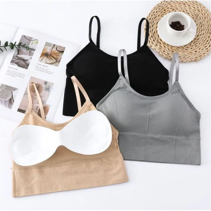 Cotton Padded Wire Free Sports Bra - Pack of 3
