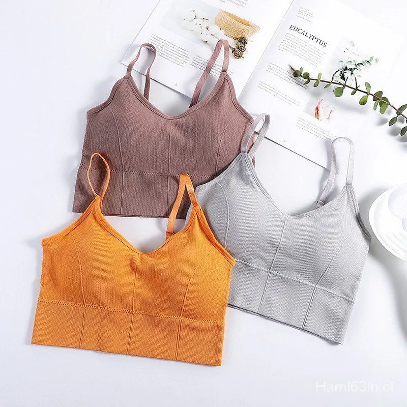 Cotton Padded Wire Free Sports Bra - Pack of 3