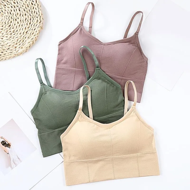 Cotton Padded Wire Free Sports Bra - Pack of 3