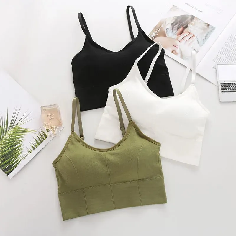Cotton Padded Wire Free Sports Bra - Pack of 3