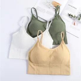 Cotton Padded Wire Free Sports Bra - Pack of 3