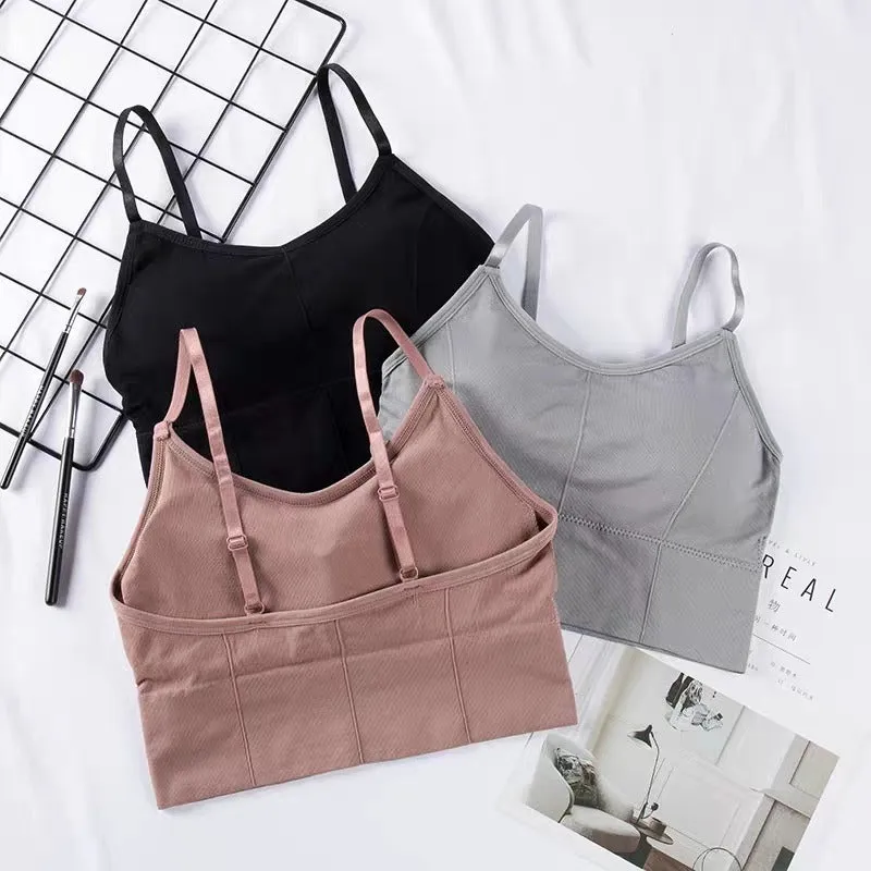 Cotton Padded Wire Free Sports Bra - Pack of 3