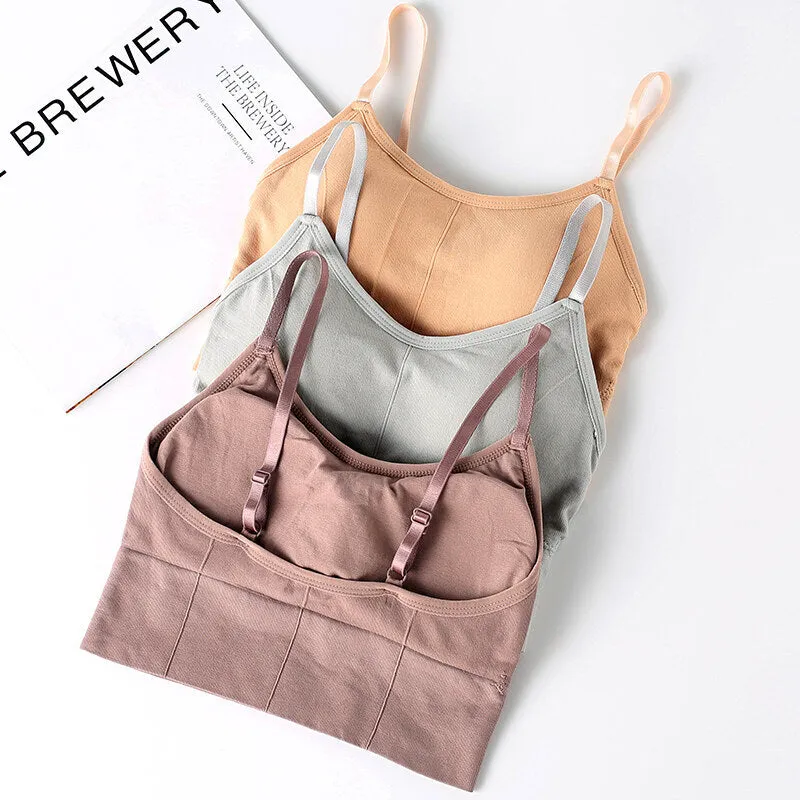 Cotton Padded Wire Free Sports Bra - Pack of 3